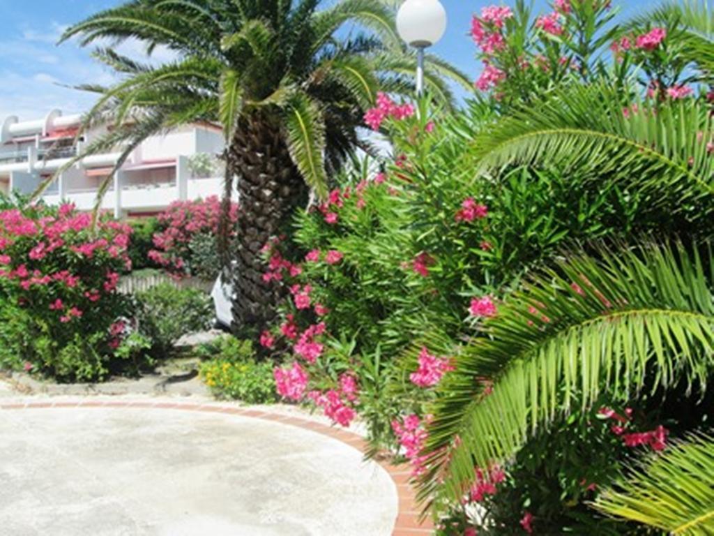 Vittoria Immobilier 12 -Reglement Sur Place - Cheques Vacances Acceptes La Grande Motte Extérieur photo