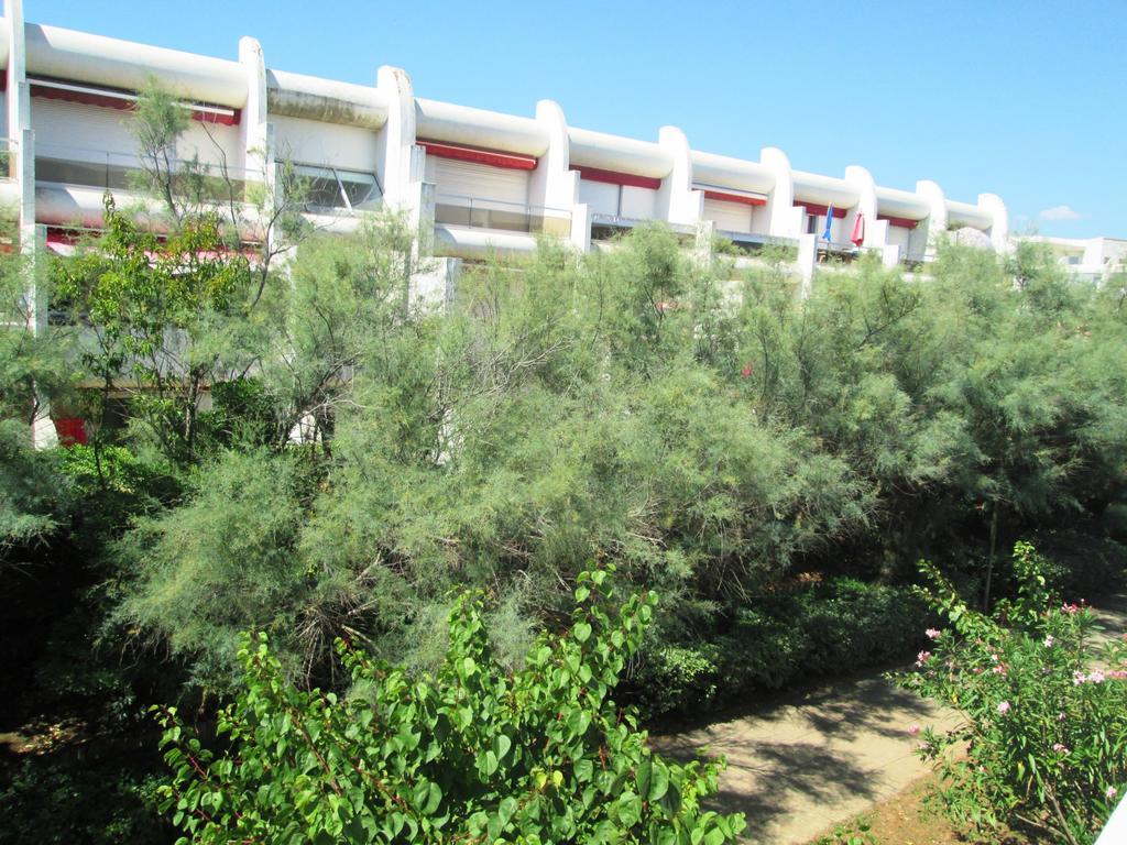 Vittoria Immobilier 12 -Reglement Sur Place - Cheques Vacances Acceptes La Grande Motte Extérieur photo